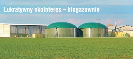 Biogazowanie